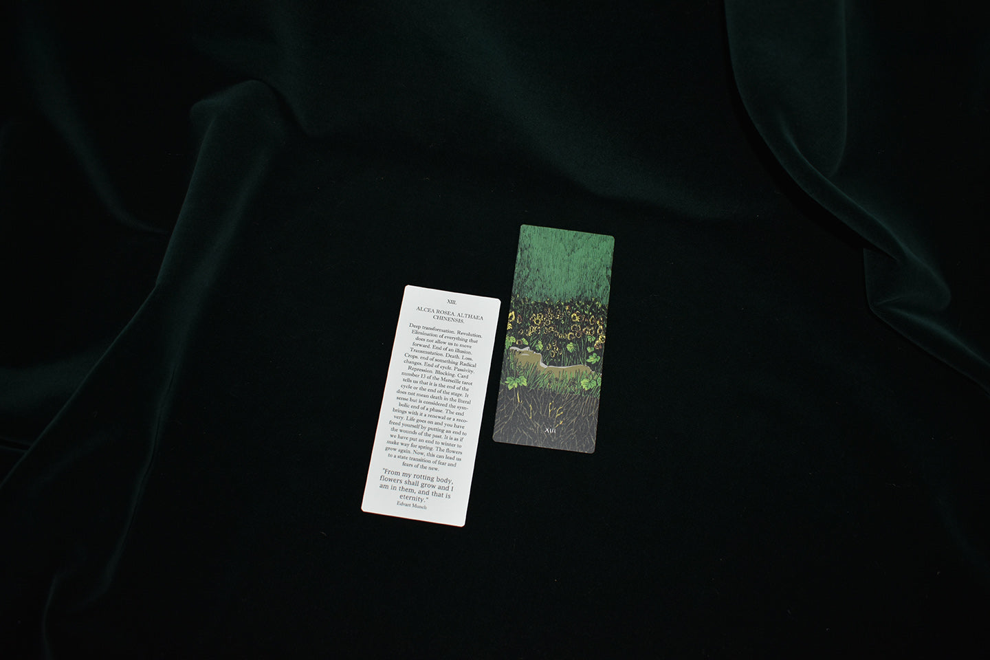 JonasaJaus edicion 9+guide paper